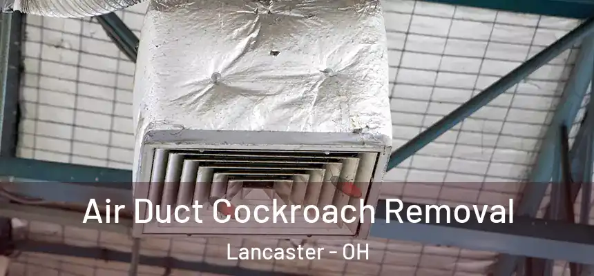  Air Duct Cockroach Removal Lancaster - OH