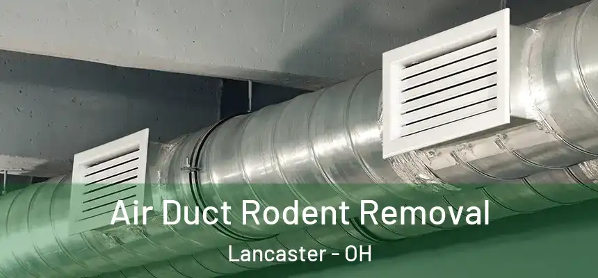 Air Duct Rodent Removal Lancaster - OH
