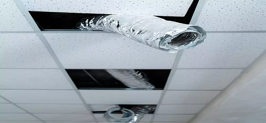 Our Air Duct Pet Hair Removal Services in Lancaster, OH