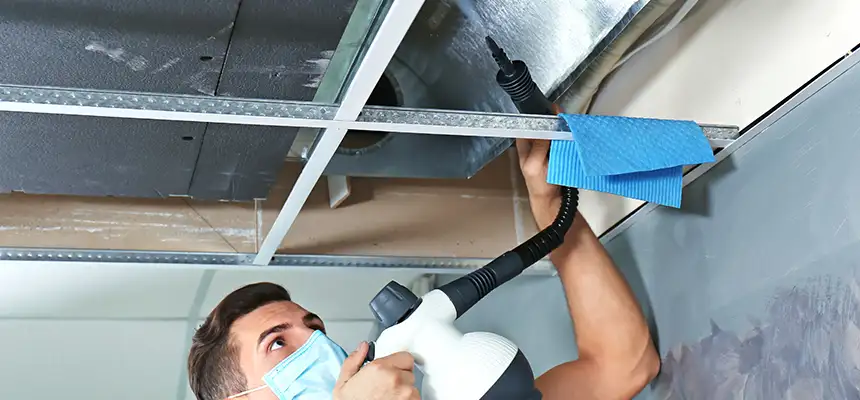 Our Air Duct Rodent Removal Services in Lancaster, OH