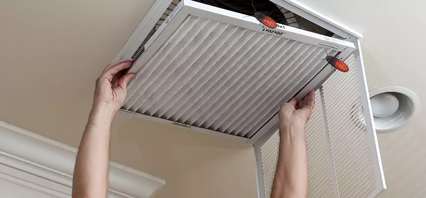 Our Insect Removal from Air Ducts Services in Lancaster, OH