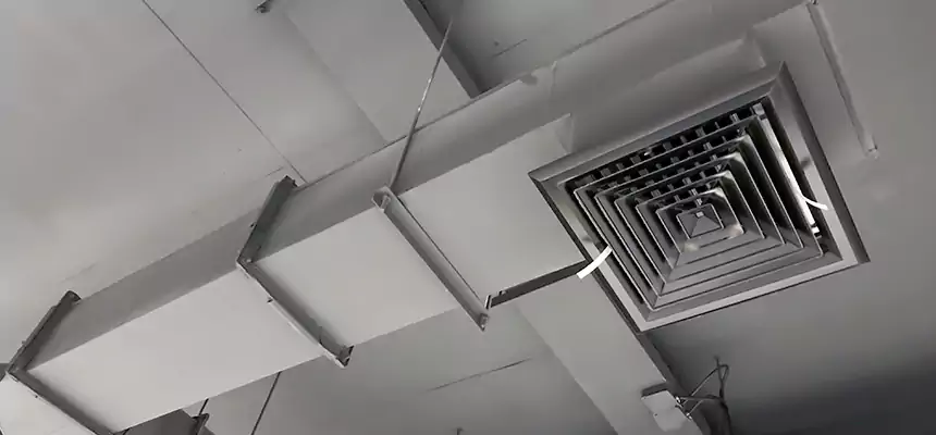 Our Rodent Droppings In Vents Services in Lancaster, OH