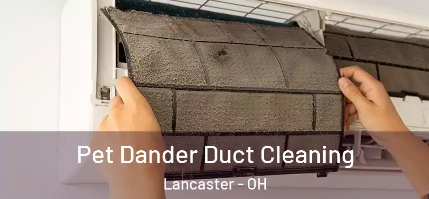 Pet Dander Duct Cleaning Lancaster - OH