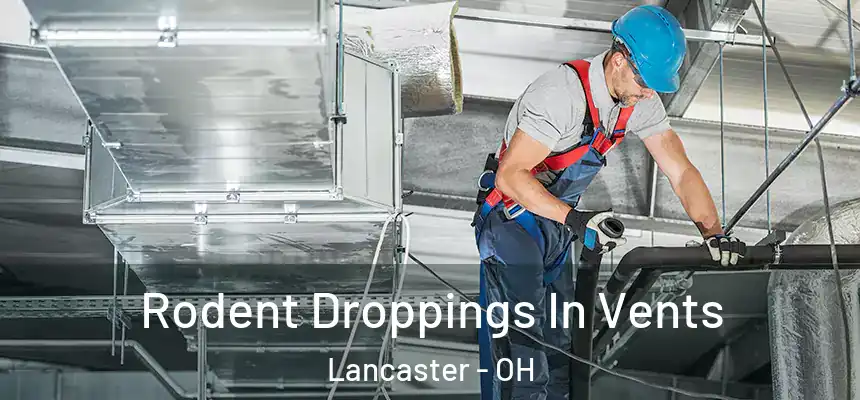 Rodent Droppings In Vents Lancaster - OH