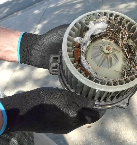 About Air Duct Rat Removal in Lancaster, OH