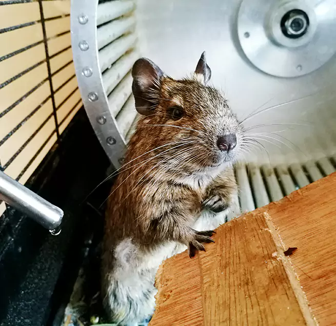 Why Homeowners & Businesses Trust Us Lancaster, OH